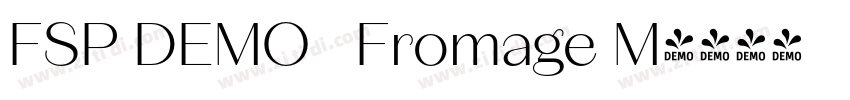 FSP DEMO   Fromage M字体转换